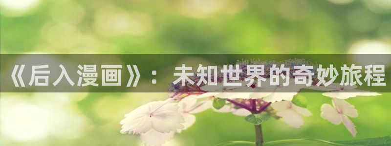 羞羞漫画网观看：《后入漫画》：未知世界的奇妙旅程