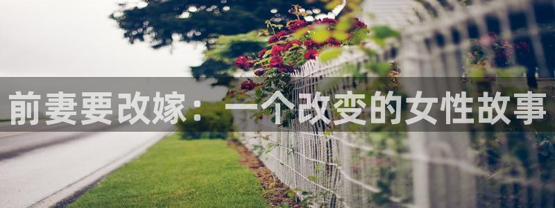 羞羞漫画限免：前妻要改嫁：一个改变的女性故事